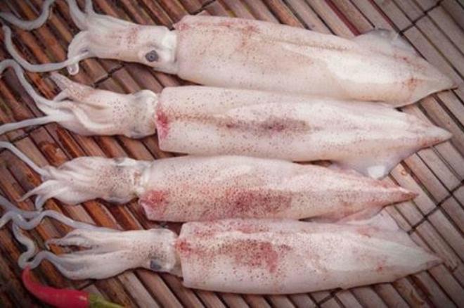 Hướng dẫn cách chọn mực tươi cho các món ăn từ mực với độ đàn hồi tốt và màu sắc tự nhiên
