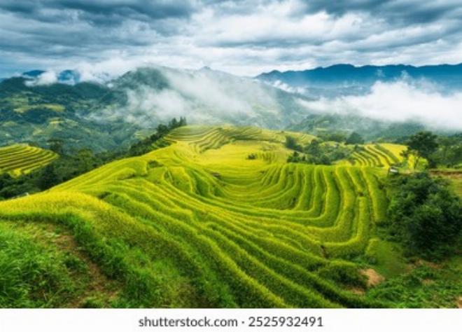Cậu bé Hiếu ngồi buồn bã bên bờ suối với chiếc giỏ đan lỗi, khung cảnh làng quê Việt Nam yên bình