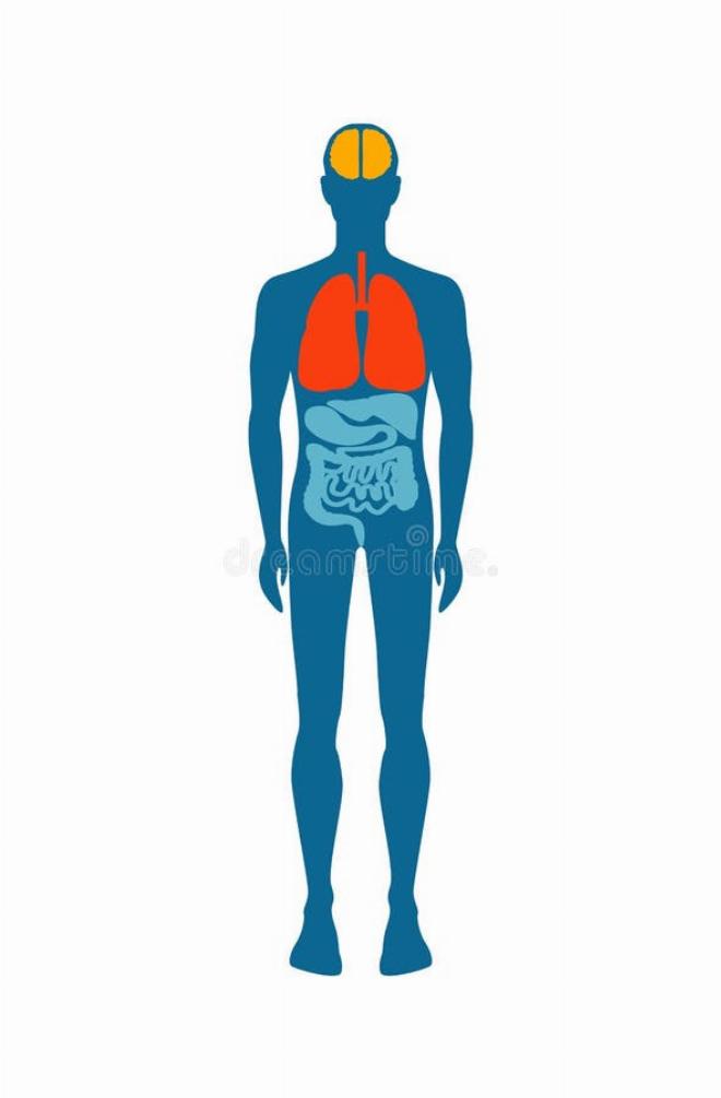 Một người phụ nữ ngồi mệt mỏi bên bàn làm việc thể hiện dấu hiệu stress quá tải