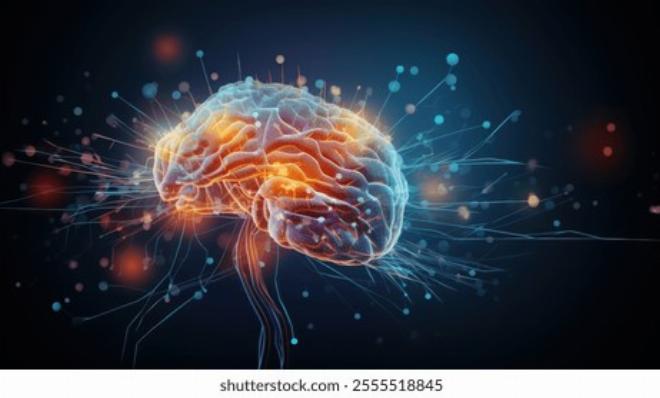 Hình ảnh quét não fMRI cho thấy sự phối hợp giữa hai bán cầu não trái – não phải là gì trong thực tế