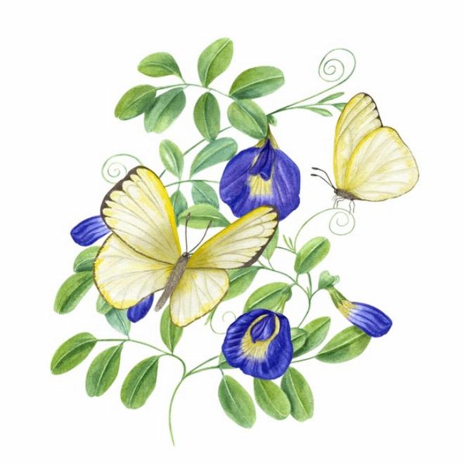 Hạt đậu nhỏ nằm trong lòng đất ấm áp, xung quanh là những hạt đậu to khỏe khác, góc nhìn cận cảnh, ánh sáng dịu nhẹ từ những tia nắng mai, phong cách minh họa dễ thương