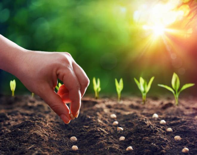 Một thầy phong thủy đang nghiên cứu lá số tử vi và các yếu tố âm dương ngũ hành