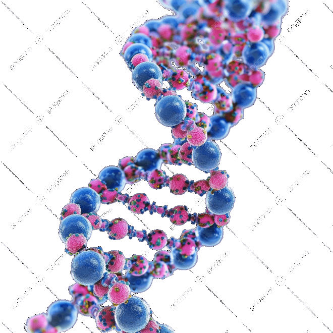 Hình ảnh minh họa cấu trúc xoắn kép và quá trình phân tích xét nghiệm DNA là gì chuyên sâu